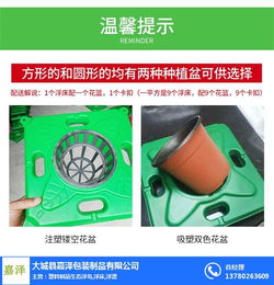 嘉澤包裝制品公司 人工生態(tài)浮島技術(shù)開發(fā)與在線咨詢服務(wù)